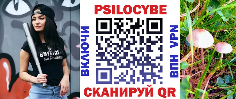 наркошоп  Черноголовка  Галлюциногенные грибы мухоморы 